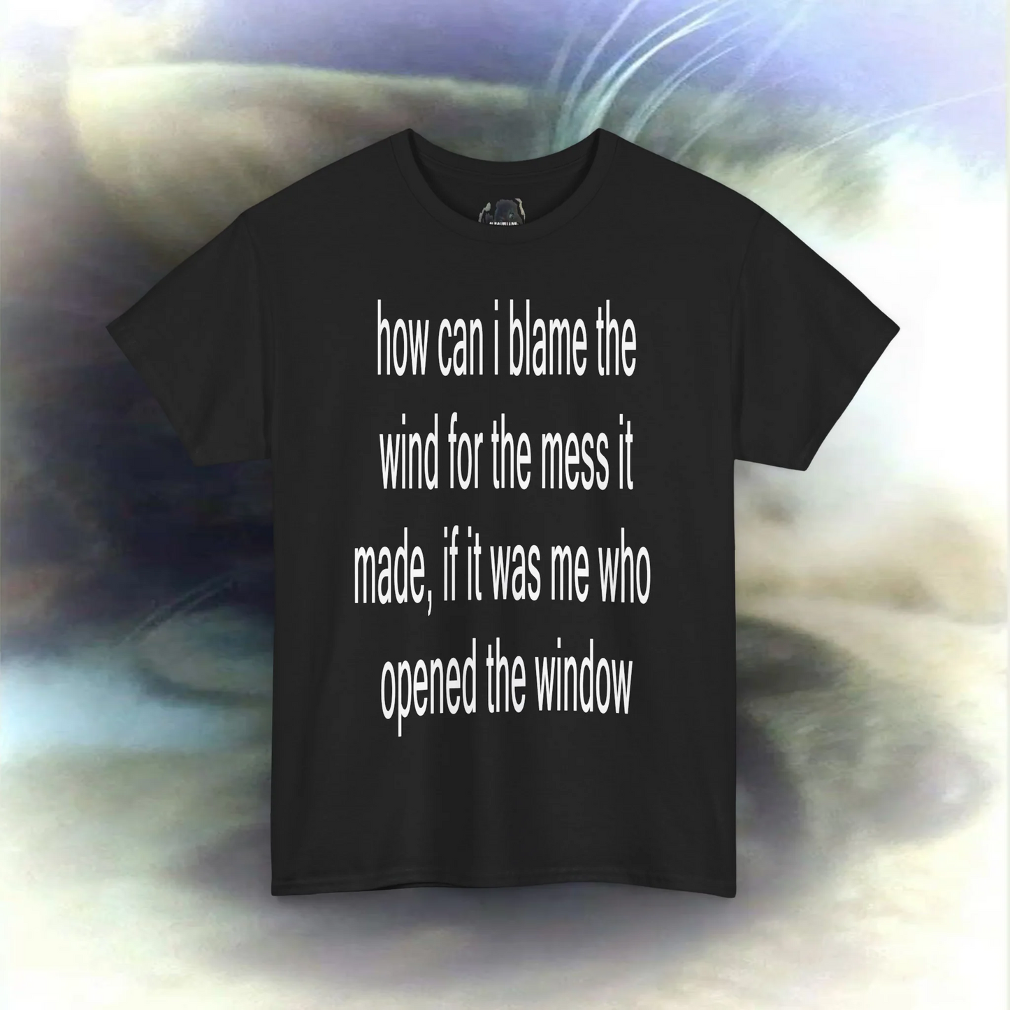 'how can I blame the wind for the mess it made, if it was me who opened the window' T-shirt